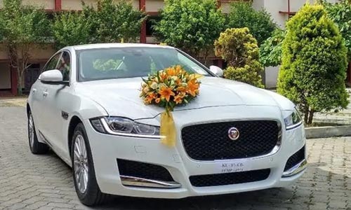 wedding car rentals in punjab himachal north india